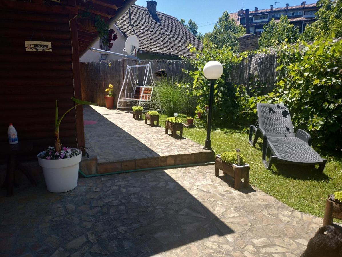 Villa Tera Nova Vrdnik Esterno foto