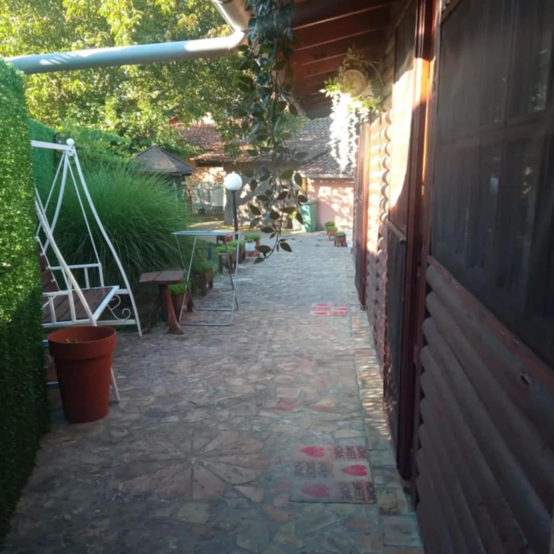 Villa Tera Nova Vrdnik Esterno foto