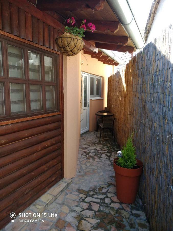 Villa Tera Nova Vrdnik Esterno foto